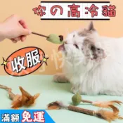 銅板價💰貓草小玩具 貓薄荷玩具 貓咪小玩具 貓玩具 貓草 貓薄荷 貓咪磨牙 羽毛玩具