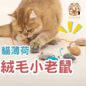 小老鼠逗貓玩具 寵物玩具/貓玩具/貓薄荷/老鼠玩具/逗貓玩具/逗貓老鼠/沙鈴鼠/絨布鼠
