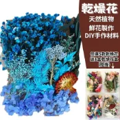 ALL SPLENDID 【A-ONE】永生乾燥花盒 藍色魅影 浮游花材料包 永生蓬萊松 壽松 不凋花盅配件 手作花材 花藝設計 C02