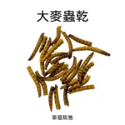 柑仔牧場探險🍊｜小動物大麥蟲乾 單個賣場 麵包蟲乾 超級麵包蟲 鳥類 觀賞魚 刺蝟 倉鼠 寵物鼠 蜜袋鼯 爬蟲類 蜥蜴