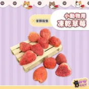 喵喵物流所 小動物用凍乾草莓 小動物草莓凍乾 鼠兔水果乾 倉鼠零食 小動物果乾 小寵草莓凍乾 小寵零食 鼠兔零食