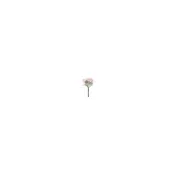 (店+)【2square shop 貳次方】單入 清新茉莉捧花 仿真花 茉莉花 塑膠花 永生花(乾燥花 茉莉花束 人造花 婚禮捧花)