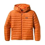  Patagonia Down Sweater Full-Zip Hoody 800FP 輕量連帽羽絨