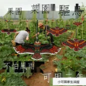 古書堂 【可開發票】滿299出老鷹仿真驅鳥農地菜園果園水田陽臺無公害懸掛驅鳥懸掛趕鳥神器