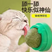 🔥限時特惠🔥貓玩具貓薄荷球磨牙棒貓咪自嗨玩具小貓玩具逗貓玩具逗貓棒貓咪玩