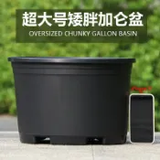 協貿國際日用品生活6館 大花盆加大黑色矮胖加侖花盆樹脂花盆繡球葡萄大口徑透氣盆栽花盆