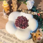 凍乾紫薯粒 水果乾 蔬果乾 寵物果乾 倉鼠零食 小寵零食