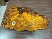 （售完）黃金原木瘤3D立體閃花排水茶盤　極重油滿滿利花閃瘤花　天然閃樟木瘤完整瘤體切板拋光　樹瘤木榴樟檜木瘤鳳尾瘤聚寶盆