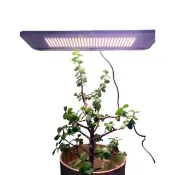 【JIUNPEY 君沛】LED20W薄型植物燈版 20瓦磁吸式植物燈 加強型光譜(植物生長燈 植物燈)
