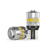 (店+)【TST】T10 LED 超白光 車牌燈 恆流穩壓 汽車牌照燈 室內燈 閱讀燈 機車燈泡 定位燈 小燈 竣天