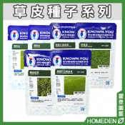 【隔日到貨】草皮種子系列 類地毯草 馬蹄金 假儉草 耐踐踏草種 庭院綠化 草坪 園藝用品【HOMEDEN霍登園藝】