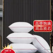 全球選品1館 生活百貨 抱枕芯兒內膽內芯靠墊芯45 50x50 60正方形抱枕心沙發靠背靠枕芯