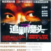 懷舊經典🔥1DVD國語 【追剿魔頭】仇曉光 趙秀麗 金巧巧 經典