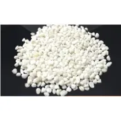 *幸運草魔幻小* 景觀飾品 白色小石頭600g 魚缸裝飾造景 鋪地石頭 雨花石 鵝卵石多肉植物苔蘚生態瓶配件 景觀盆栽