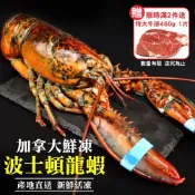 海肉管家 第二件送好禮活凍波士頓龍蝦(2尾_400-500g/尾)