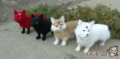 協貿國際日用品生活5館 仿真動物九尾狐手工模型創意家居擺件白狐貍玩偶狐貍裝飾桌面道具