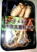 2026 正韓國新鮮高麗人蔘.五年生（大）（非薰硫酒製保鮮蔘）可泡酒、泡醋、泡蜂蜜〔赤壺堂養生本草園〕