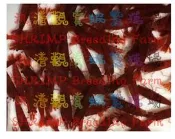 【汛潽】血清瑪莉米蝦 /血腥瑪麗米蝦【零售區】