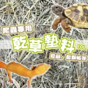 爬蟲乾草墊料 10L 爬蟲墊料 混合牧草墊料 牧草 草墊 牧草堆 牧草墊料 爬蟲墊材 陸龜 守宮 蜥蜴 爬蟲專用