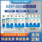 阿嫲的百寶屋 空氣開關DZ47-63電閘空氣開關1P 2P 3P 4P空開6A~63A小型斷路器{鑫弘-工葉電器}可開發票