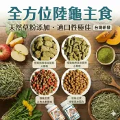 陸龜驛站｜【幼龜爆食】陸龜飼料 蘇卡達/赫曼/豹龜/紅腿 挑嘴救星 烏龜飼料 乖乖 牧草粉