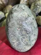 台灣台東成功海洗龜甲菊花玉