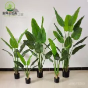 🔥免運🔥仿真旅人蕉綠植輕奢家居裝飾盆栽美人蕉假樹落地造景假植物天堂鳥仿真綠植 綠植擺件裝飾假花仿真花擺設