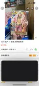 日本購入15週年多佛朗明哥