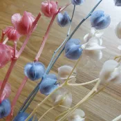 My Wonderful 可愛果實【永生風鈴果】手做DIY花束材料