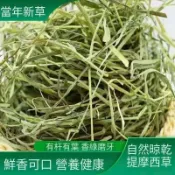 【牧草天堂randy-liu】百幕達 甜小麥 燕麥草 苜蓿 提摩西一割二割萌寵牧草隔日達高營養草料適合陸龜豚鼠荷蘭豬進食