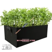 種菜專用箱 種植袋 長方形種植袋 特大陽臺種菜神器 創意長方形透氣美式新花盆 家庭種植箱蔬菜種植袋 蔬菜土 有機栽培必備