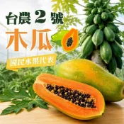 【京站i購物】【初品果】☆國民水果 台農2號木瓜 6斤5-9顆-廠商直送