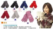 【【蘋果戶外】】Snow Travel AR-9 POLARTEC WINDBLOC防風透氣手套 刷毛手套 保暖手套 賞雪手套
