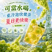 【現貨】葡萄烏龍茶 日常飲品 冷泡茶 果乾茶 果茶 水果茶 葡萄乾 果茶茶包 葡萄 烏龍 冷泡茶包 花茶 茶 茶包