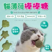 【台灣現貨買十送一】貓薄荷棒棒糖 造型貓草棒棒糖 貓草 貓薄荷 木天蓼 貓玩具 貓零食 棒棒糖 貓主子 鏟屎官