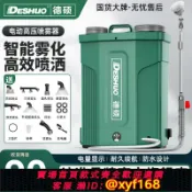 雲源優品 {可打統編 保固一年}德碩電動噴霧器農用高壓揹負式智能噴灑充電農藥噴壺新型噴藥機