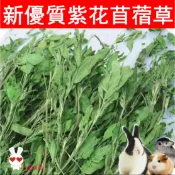 【隔日達】大葉苜蓿優質烘乾紫花苜蓿草兔子最愛