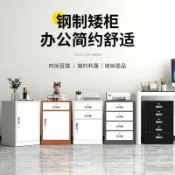 轉機商店 【帶鎖收納】鐵皮矮櫃 文件櫃 辦公櫃 抽屜櫃 儲物櫃 資料櫃 列印機櫃 桌下收納 附鎖安全 辦公室收納神器