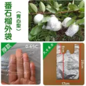 【果樹保護套袋】有耳薄膜透氣防蟲 芭樂楊桃石榴芒果柑橘 防水耐用抗風吹 紙袋水果套袋 有機栽種 農用防鳥啄適用