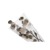 (店+)【極度花燥】乾燥大葉尤加利葉葉材