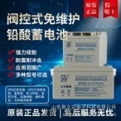 明熙精品屋 【免維護長效】鉛酸蓄電池 12V蓄電池 24AH蓄電池 40AH蓄電池 65AH蓄電池 100AH蓄電池 UPS不斷電系統 EPS直流屏 消防應急備用電源 高容量穩定供電