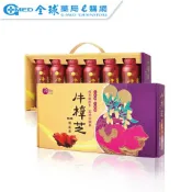 【VisLife 特活綠】牛樟芝 PLUS 機能飲禮盒 240ml/6瓶 禮盒 全素可食 | 全球藥局