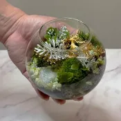 金林鹿鳴 / 主題性客製化造景生態缸