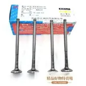 適用摩托車林海飛鷹勁戰150極光三代目 四代目BWS125正洲氣門4V