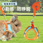 優選好物 兔子牽引繩溜兔繩防掙脫牽遛繩子鏈子寵物侏儒兔專用外出繩用品 ZMEL