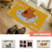 可愛療癒動物刮泥地墊 水豚 卡皮巴拉 柴犬 貓咪 公主  入厝地墊【2406-MAT】