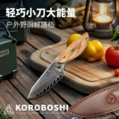 玖仟甄選館 蟲大馬士革戶外小刀AUS-10鋼切肉小剔骨切水果刀（清倉版）