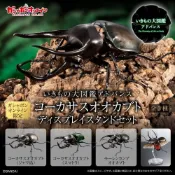 (店+)現貨生物大圖鑑 進擊 南洋大兜蟲 萬代 扭蛋 轉蛋 盒玩 advance 高卡薩斯 婆羅洲 高加