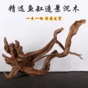 *🔥臺中🔥杜鵑根沈木免煮魚缸造景木莫斯樹老樹樁古法魚缸風化枯木擺件壹體6