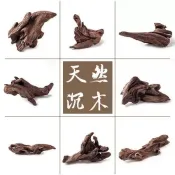 小沉木秒沉紫柚木魚缸造景水族微景觀烏龜缸蝦缸躲避非杜鵑根